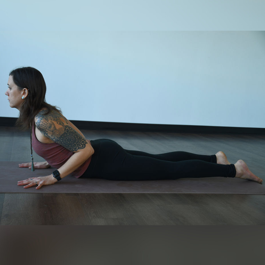 Bhujangasana Jordan Nommay practices bhujangasana