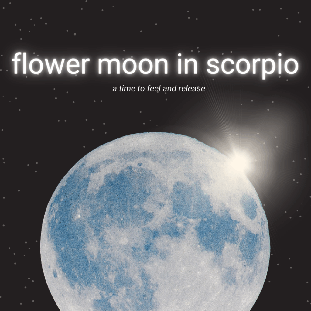 Flower Moon in Scorpio