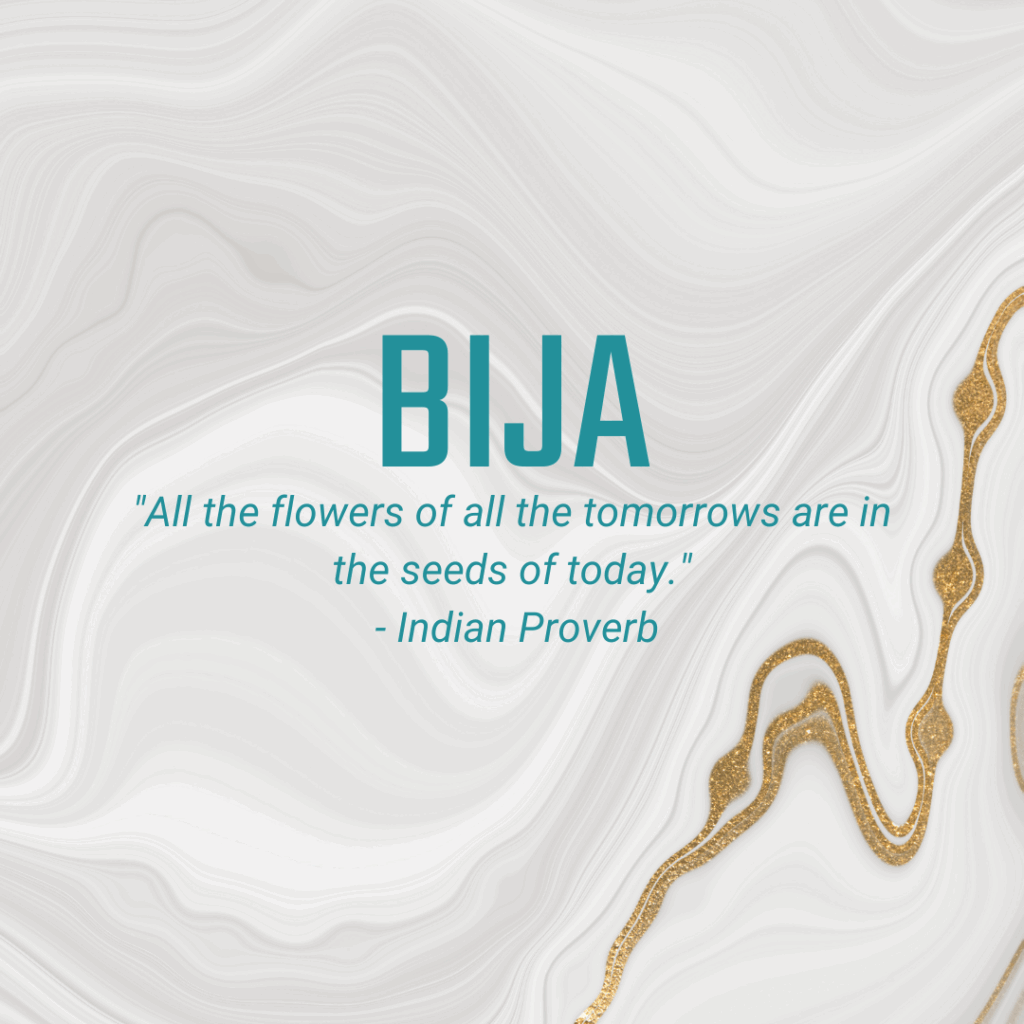 Bija: "All the flowers of all the tomorrows are in the seeds of today." - Indian Proverb