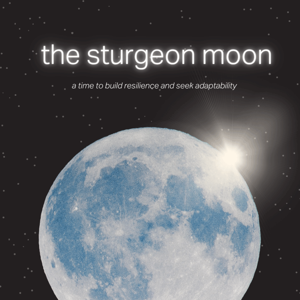 The Sturgeon Moon: a time to build resilience and adaptability