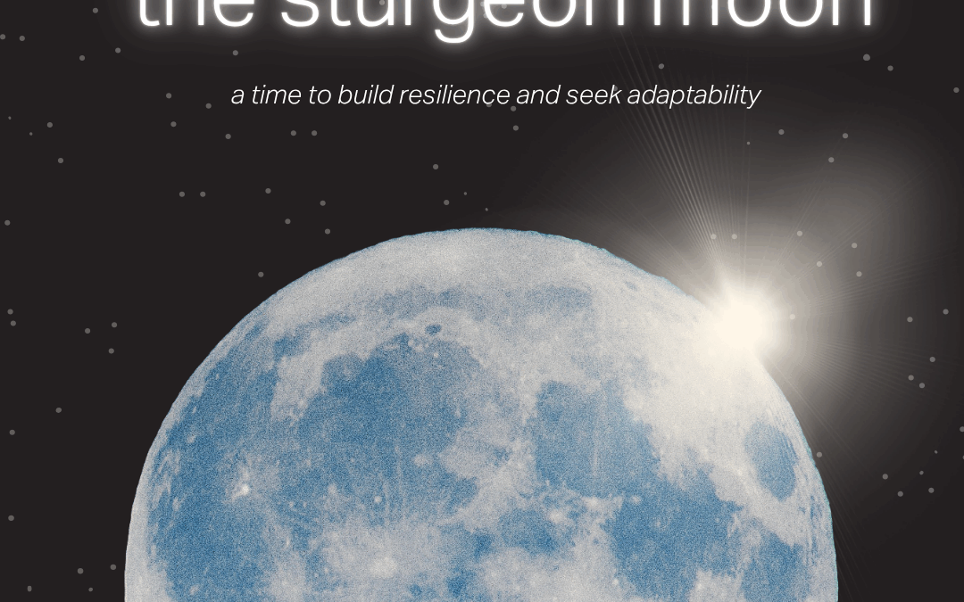 The Sturgeon Moon: RESILIENCE + ADAPTABILITY 08.07