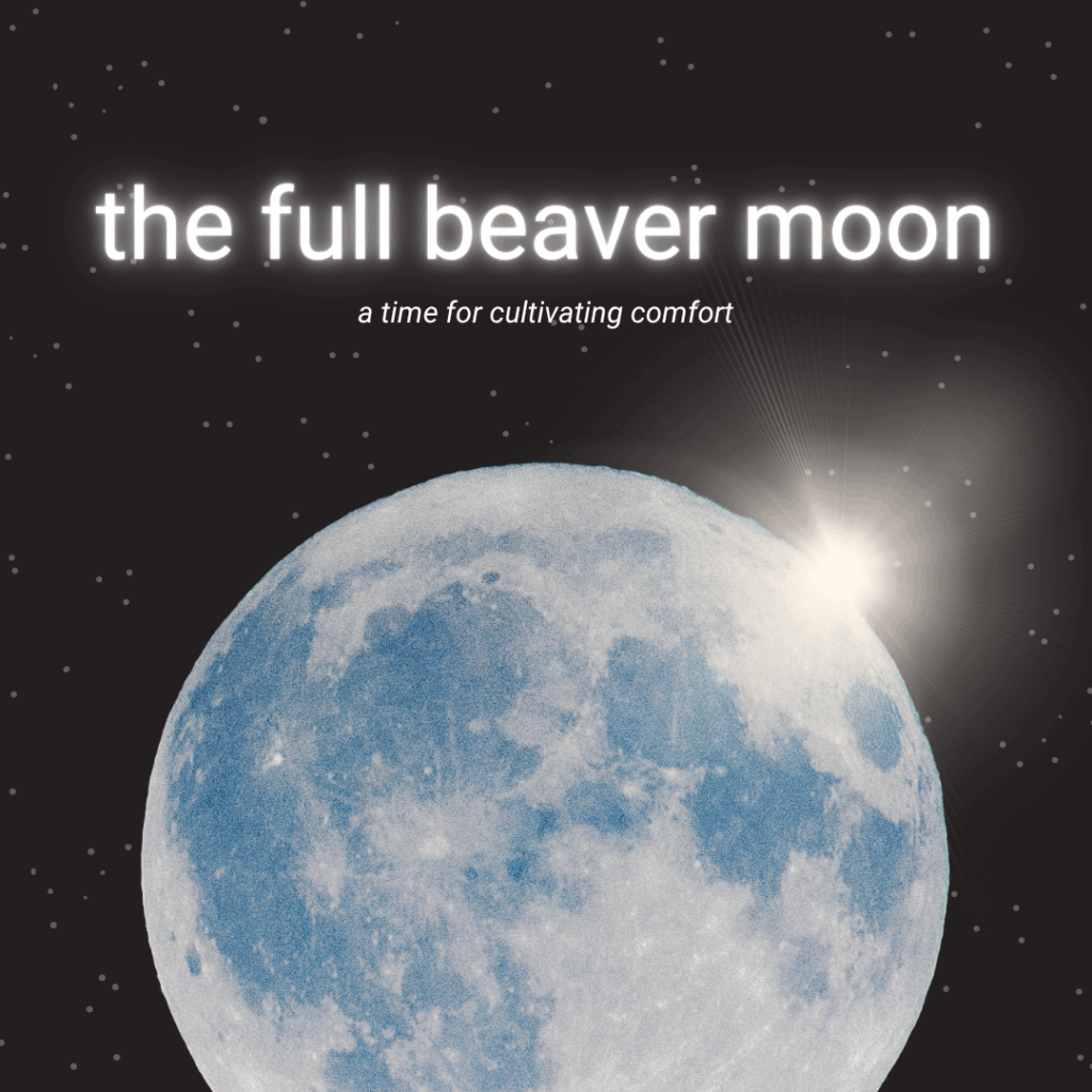 the full beaver moon - a time to cultivate comfort
