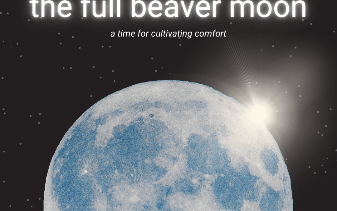 The Beaver Full Moon: Cultivating Comfort
