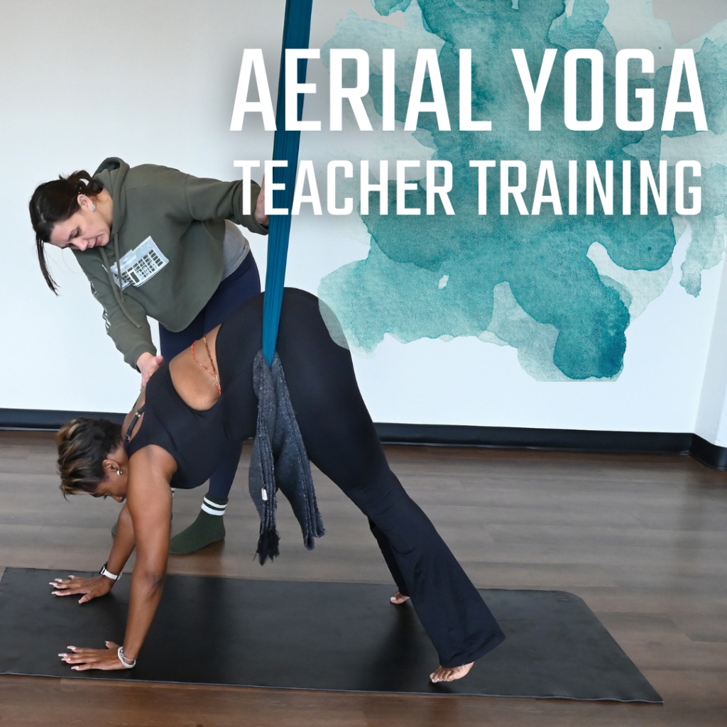 Aerial Yoga Teacher Training