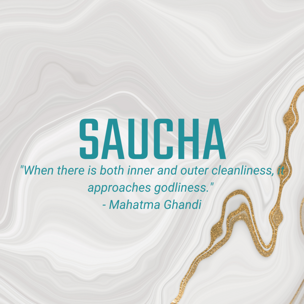 Sauch ""When there is both inner and outer cleanliness, it approaches godliness." - Mahatma Ghandi"