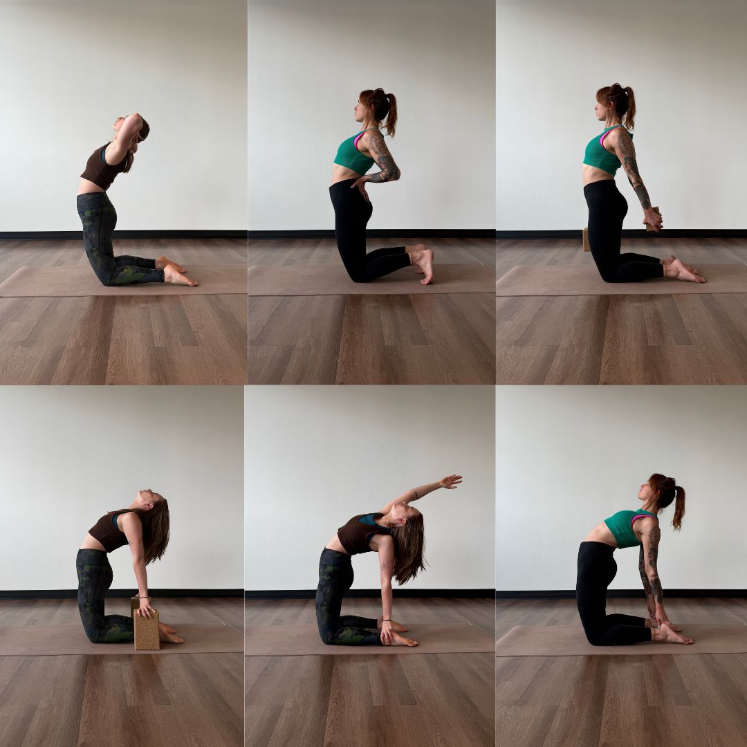 Marta Gruber and Zoe Lowden demonstrate a variety of camel pose modifications.